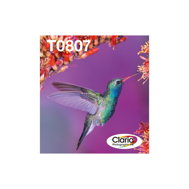 Epson Hummingbird Multipack 6-colours T0807 Claria Photographic Ink EasyMail Pack