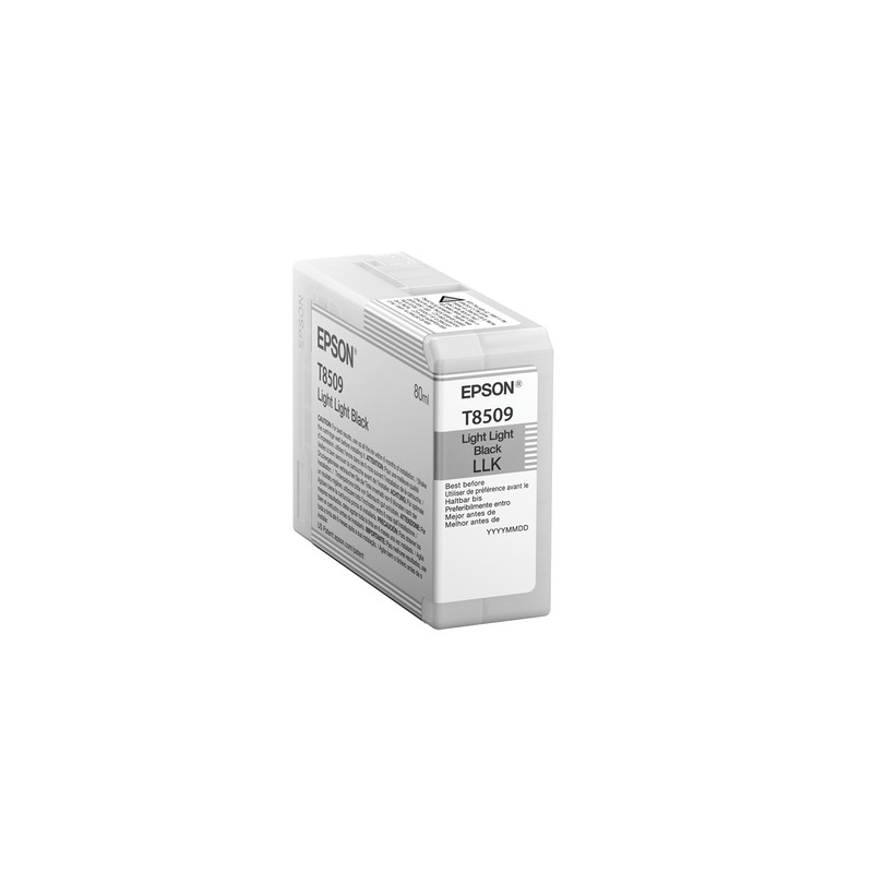 Epson Singlepack Light Light Black T850900