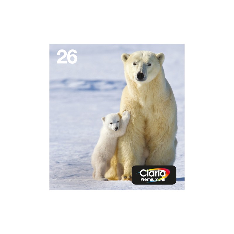 Epson Polar bear Multipack 4-colours 26 EasyMail