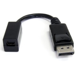 StarTech.com 6in DisplayPort to Mini DisplayPort Video Cable Adapter - M/F