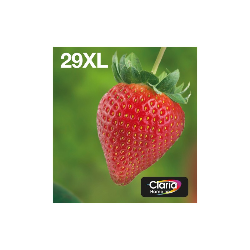 Epson Strawberry Multipack 4-colours 29XL EasyMail