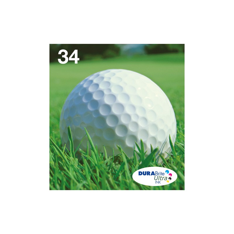 Epson Golf ball Multipack 4-clr 34 DURABrite Ultra Ink EasyMail