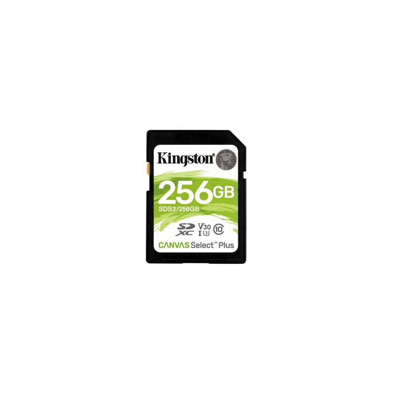 256GB SDXC 100R C10 UHS-I U3 V30