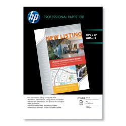 HP Paper/Matte A3 100sh f inkjet